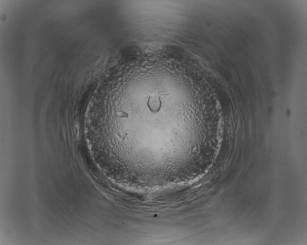 X0000070190703200605261158