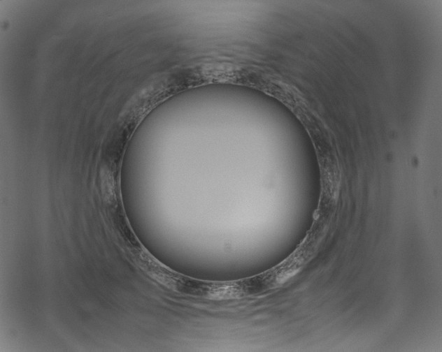 X0000070190705200605261158