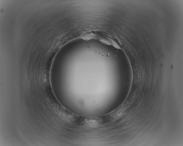 X0000070190706200605261158