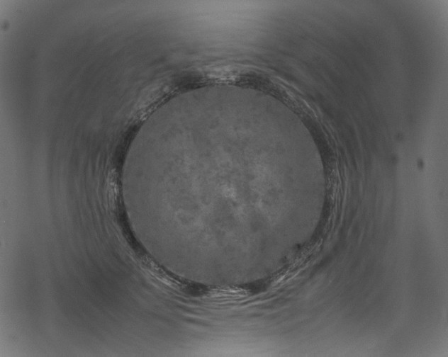 X0000070190707200605261158