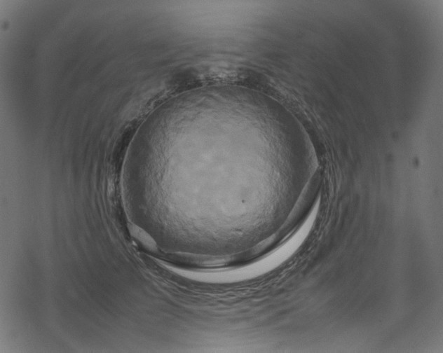 X0000070190709200605261158