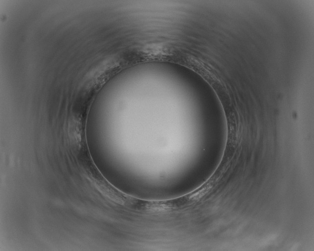 X0000070190710200605261158