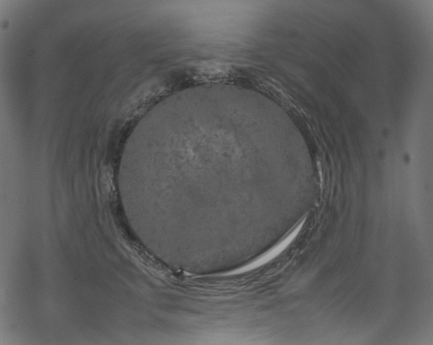 X0000070190711200605261158