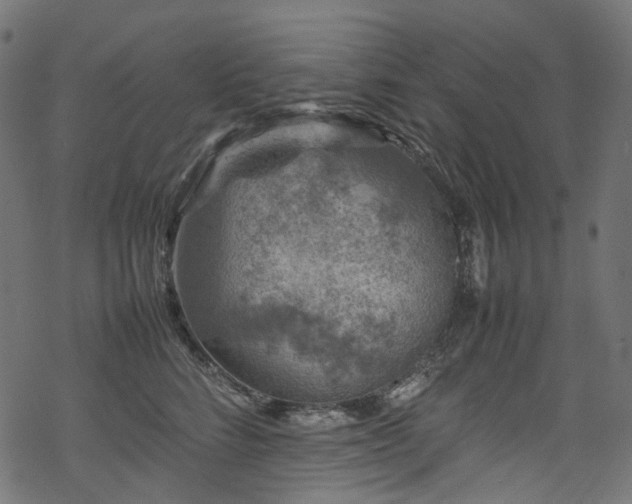 X0000070190712200605261158