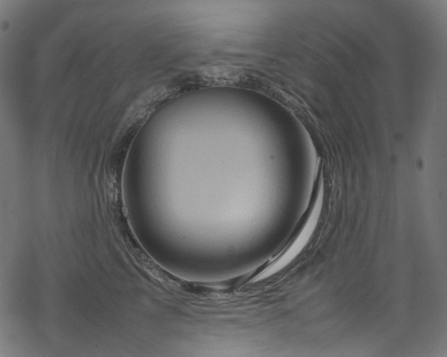 X0000070190713200605261158