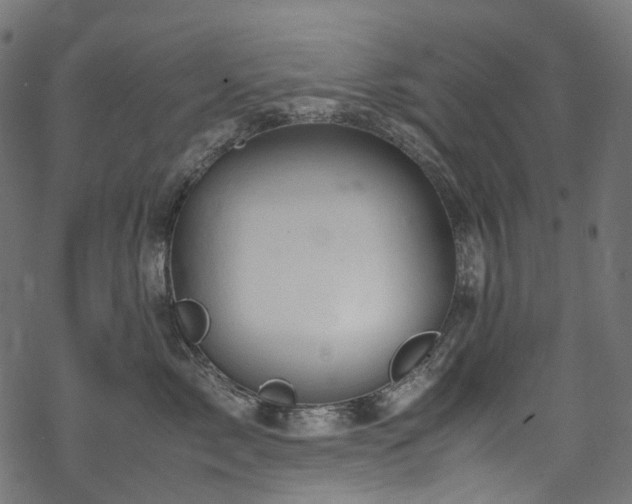 X0000070190717200605261158