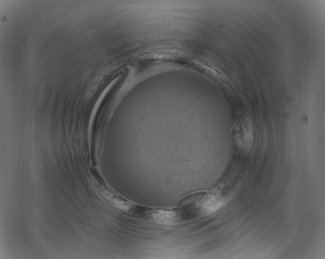 X0000070190718200605261157