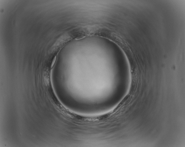 X0000070190719200605261157