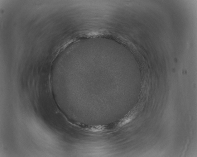 X0000070190720200605261157