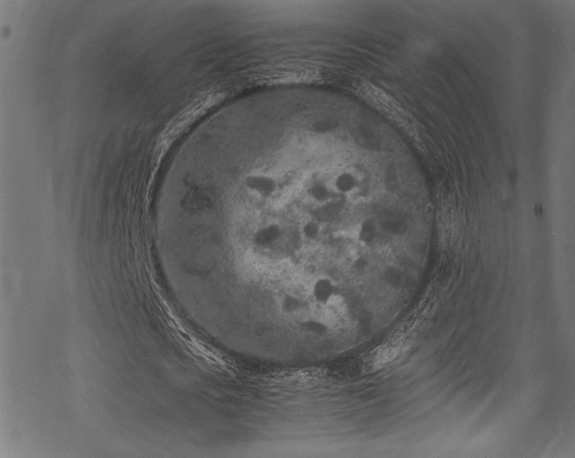 X0000070190721200605261157