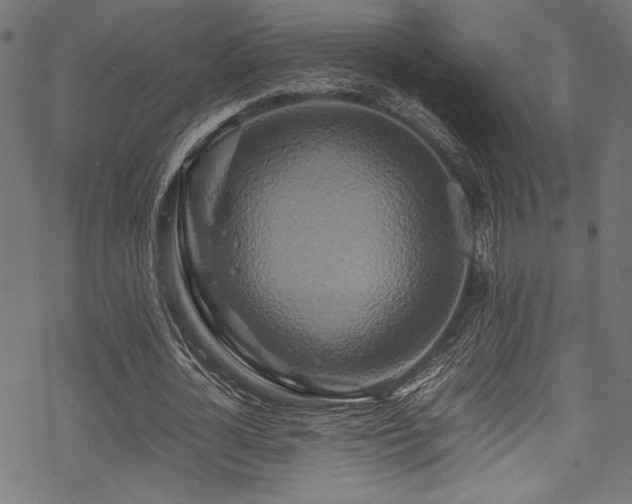 X0000070190724200605261157