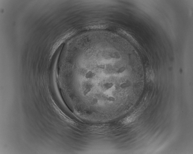 X0000070190725200605261157