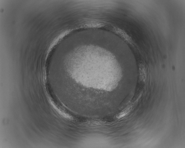 X0000070190726200605261157