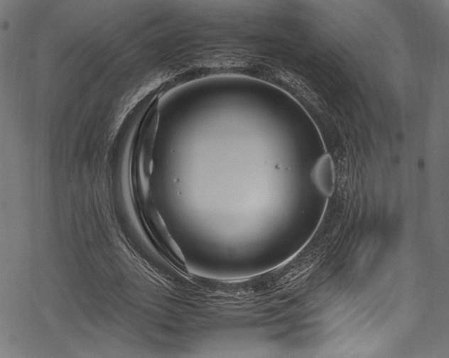 X0000070190727200605261157