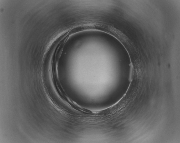 X0000070190728200605261157