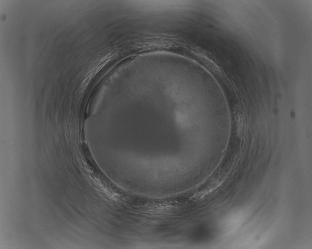 X0000070190729200605261157