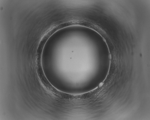 X0000070190730200605261157