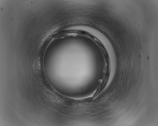 X0000070190731200605261157