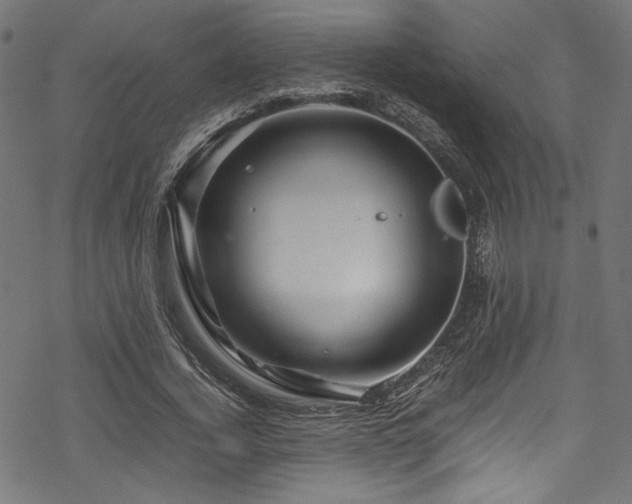 X0000070190732200605261157