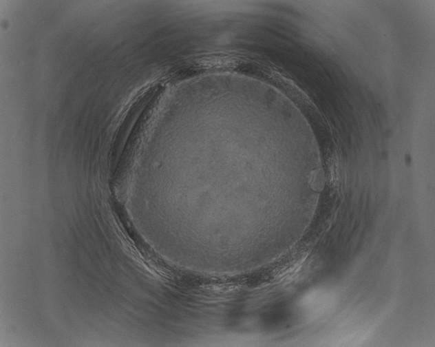 X0000070190733200605261157