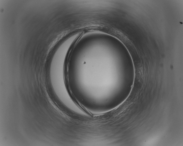 X0000070190734200605261157