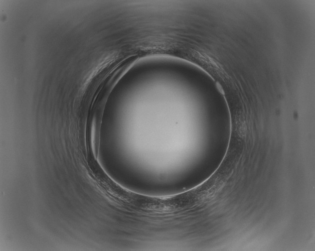 X0000070190735200605261157