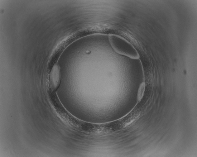 X0000070190736200605261157