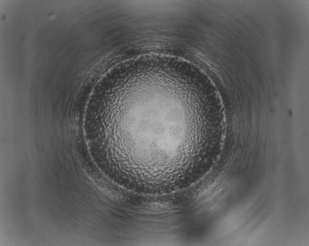 X0000070190737200605261157