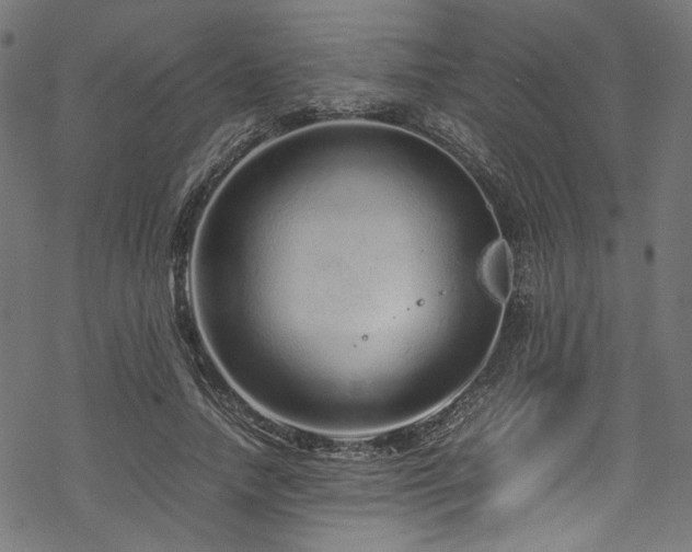 X0000070190738200605261157