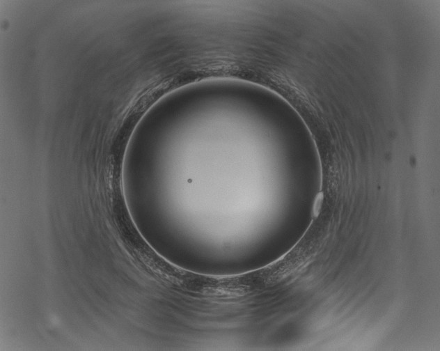 X0000070190739200605261157