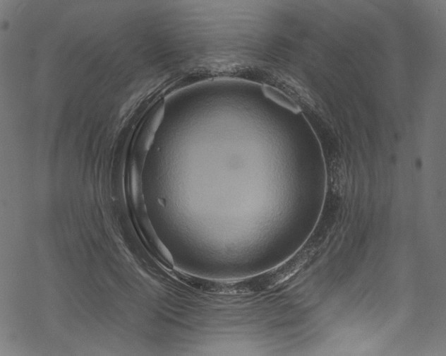 X0000070190740200605261157