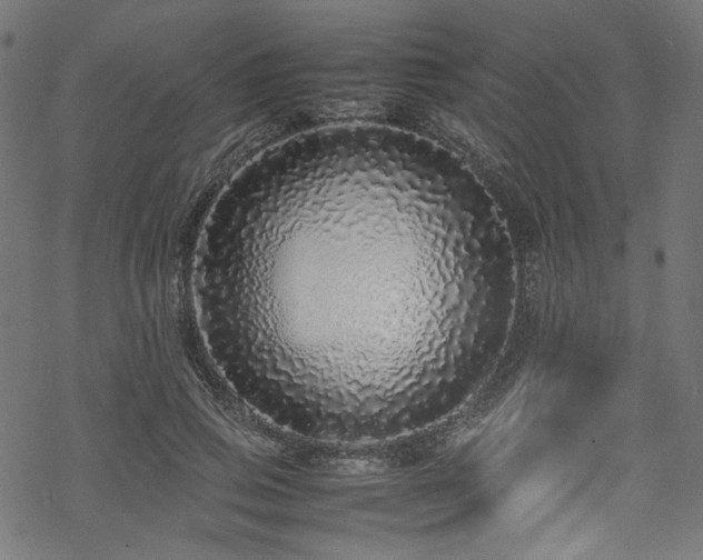 X0000070190741200605261157