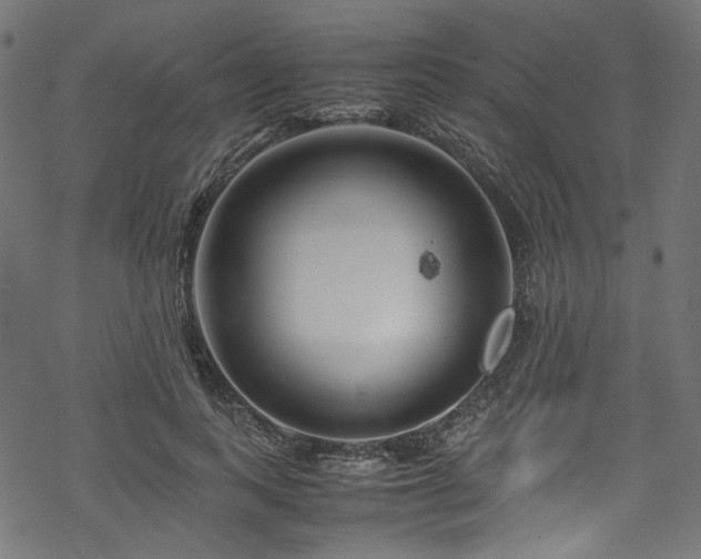 X0000070190743200605261157