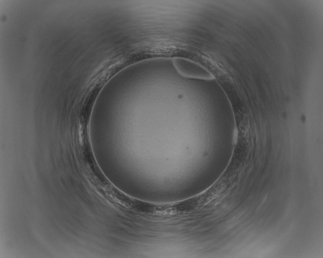 X0000070190744200605261157