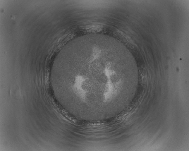 X0000070190745200605261157