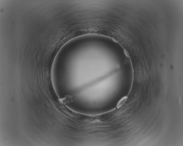 X0000070190747200605261157