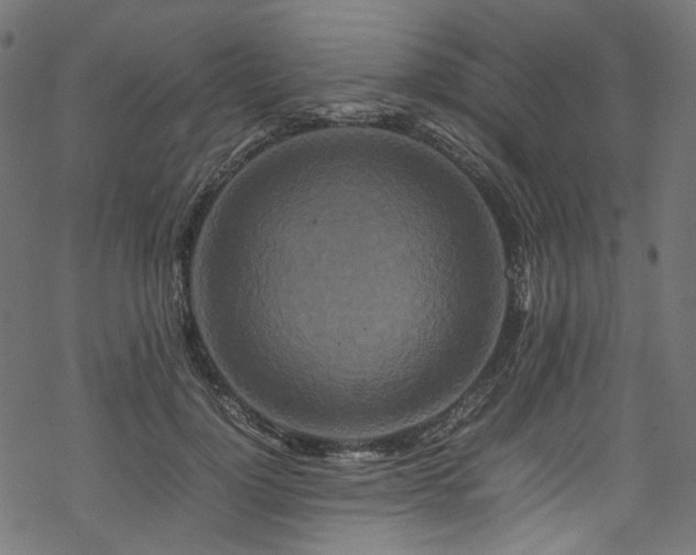 X0000070190748200605261157