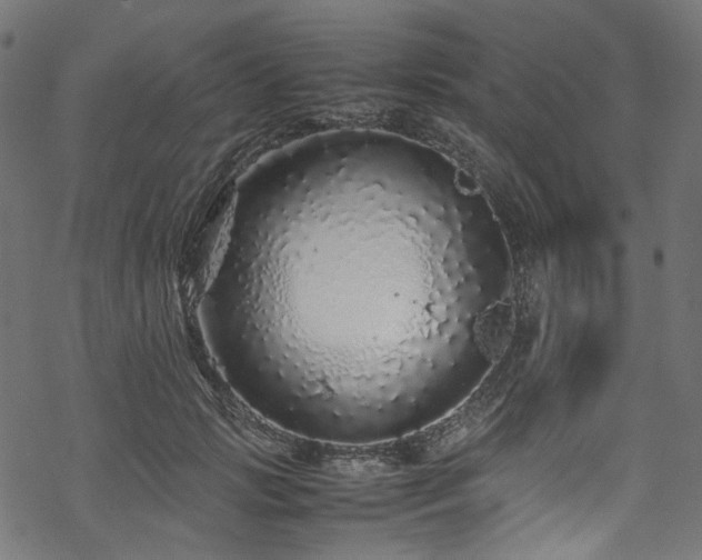 X0000070190749200605261157