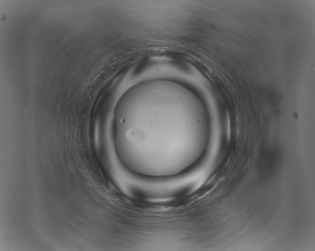 X0000070190750200605261157