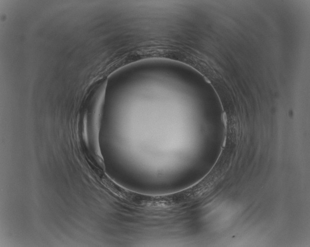 X0000070190751200605261157