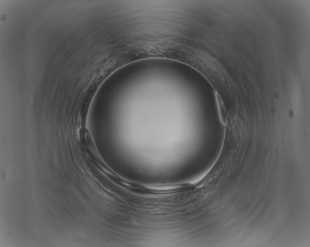 X0000070190752200605261157