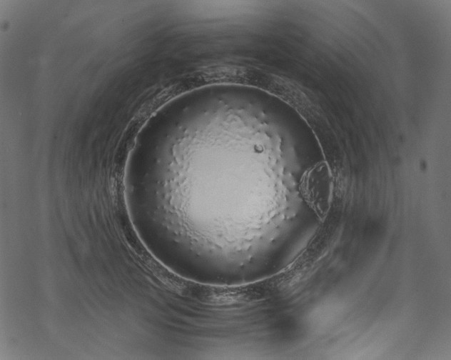 X0000070190753200605261157