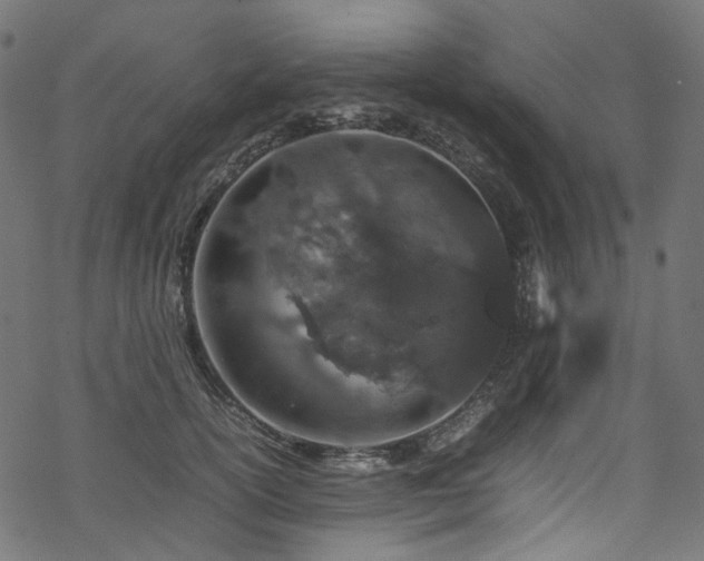 X0000070190754200605261157