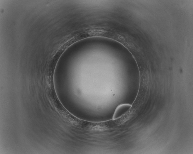 X0000070190755200605261157