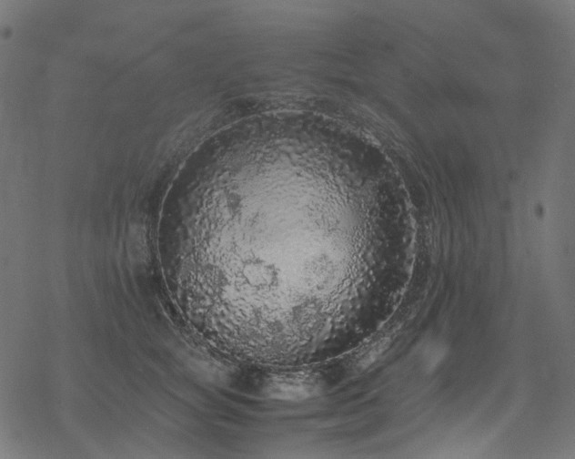 X0000070190757200605261157