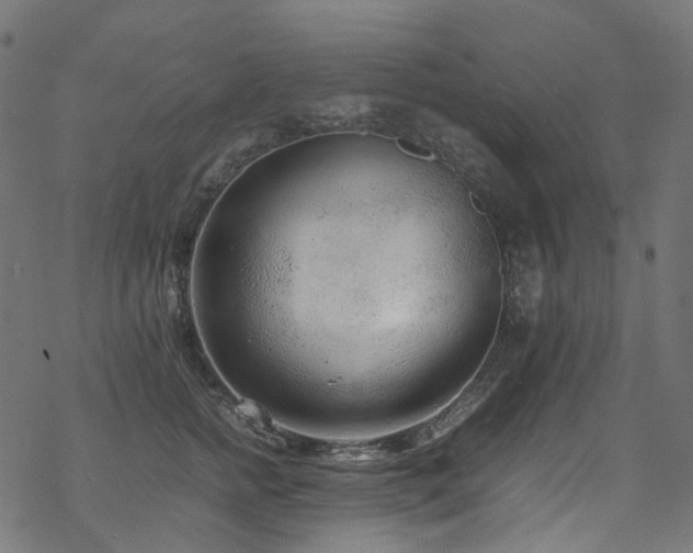 X0000070190758200605261157