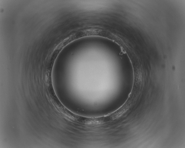 X0000070190759200605261157