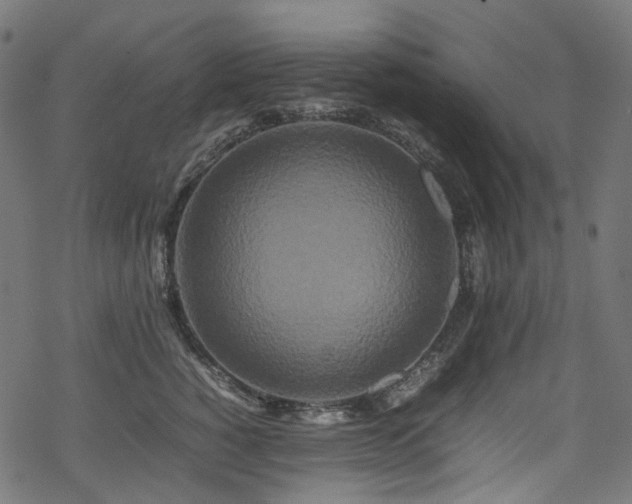 X0000070190760200605261157