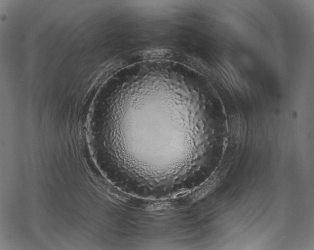 X0000070190761200605261157