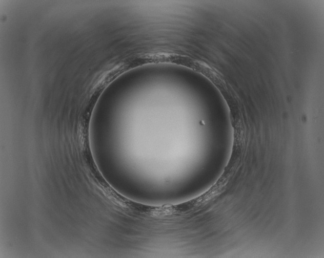 X0000070190762200605261157